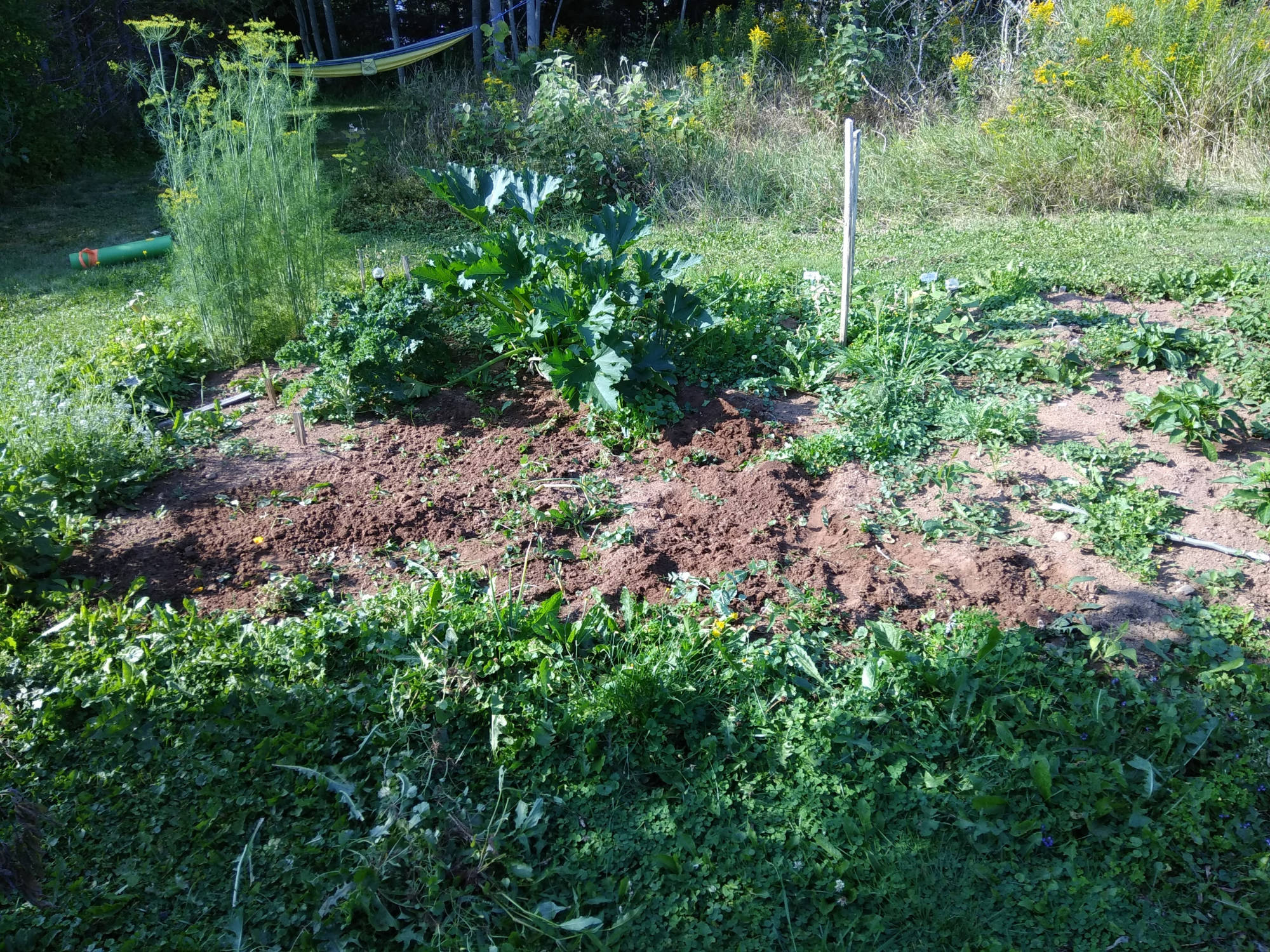 Our Garden