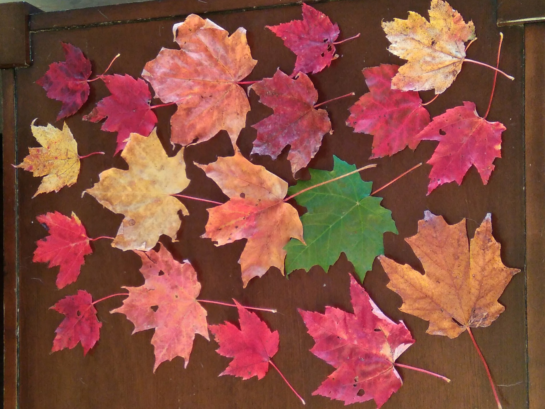 look at the colors
